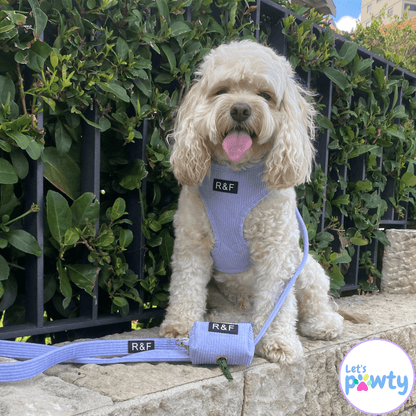 Lavender dog harness, dog leash and poop bag holder