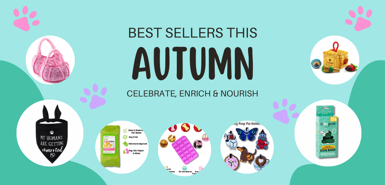 Autumn bestsellers dog products let's pawty 