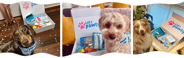 Dog products, gifts and presents by Let's Pawty 