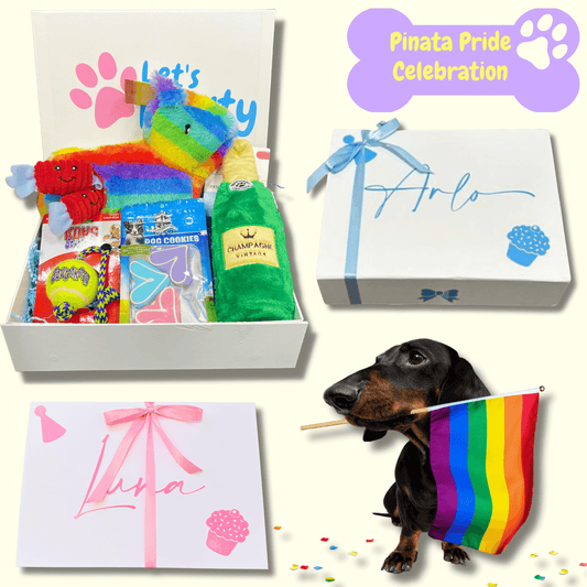 zippy burrow piñata dog themed gift box, personalised with your fur baby's name