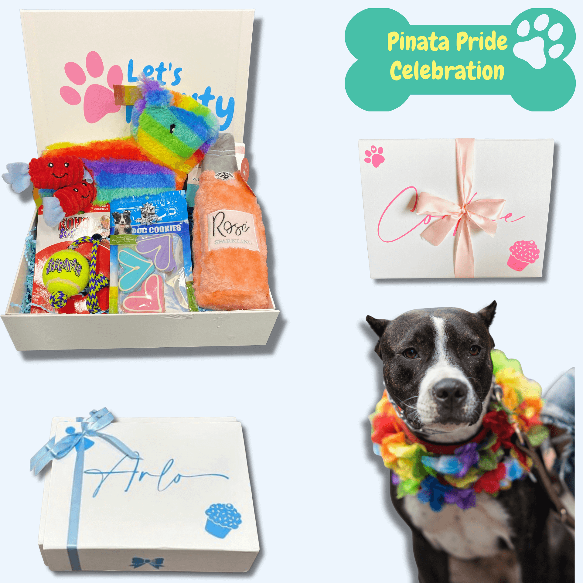 zippy burrow piñata dog themed gift box, personalised with your fur baby's name