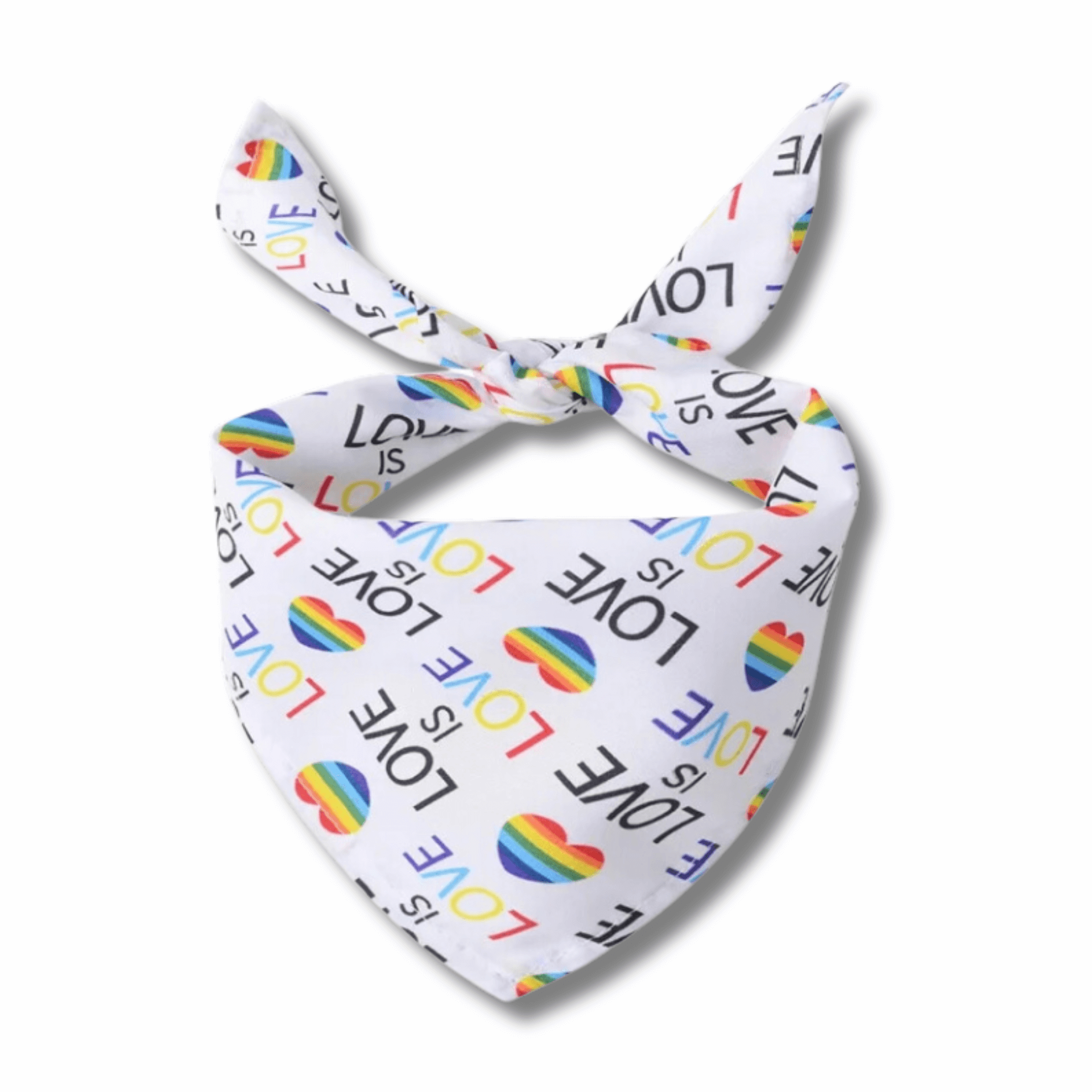 Let's pawty dog bandana pride themed