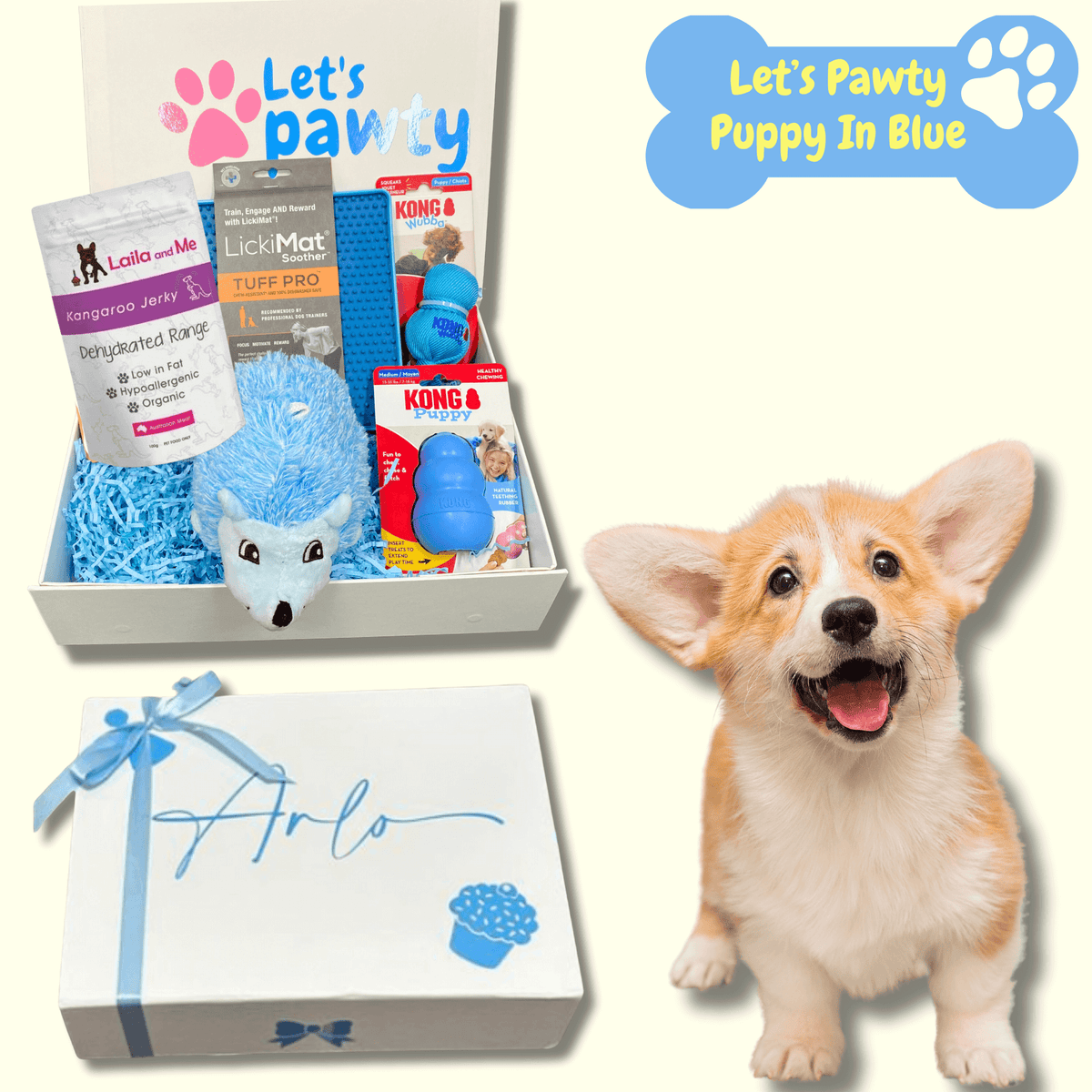 Let s Pawty Puppy Gift Box Blue Shop Online Let s Pawty Australia