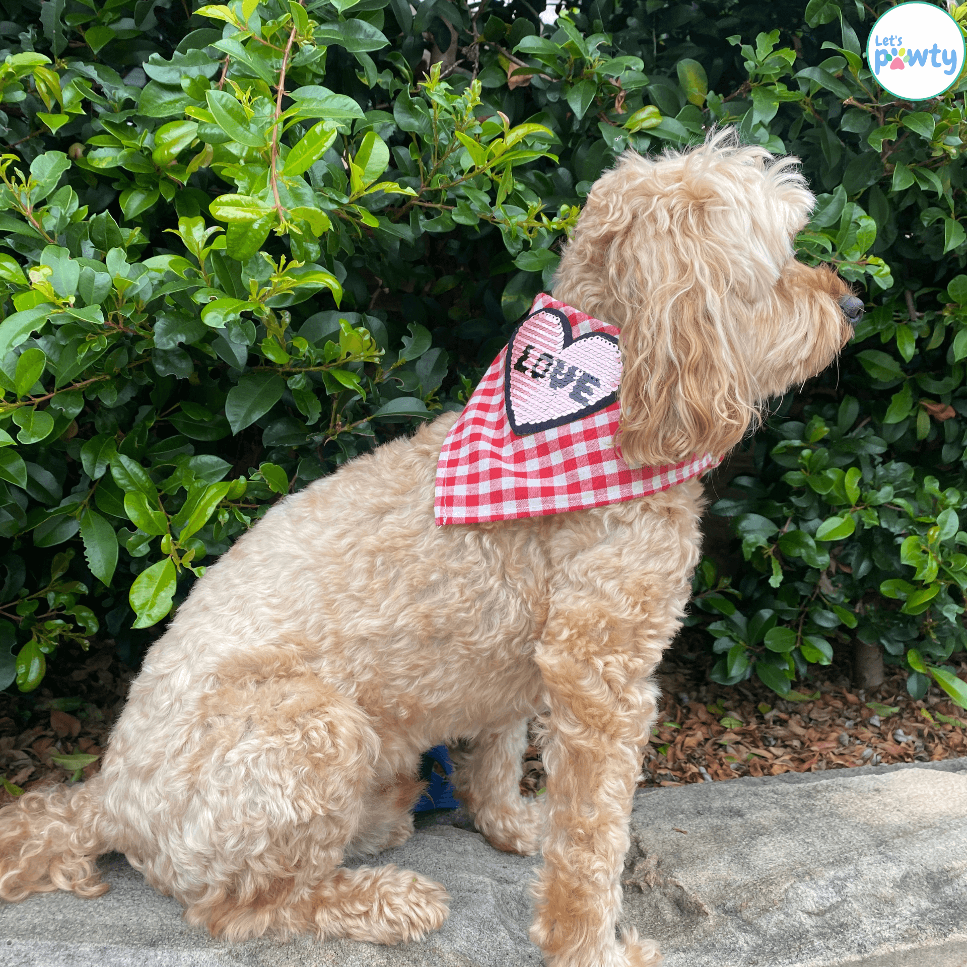 Show Me Some Love ~ Tie Up Dog Bandana