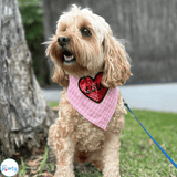 Personalised dog bandana, valentine themed let's pawty