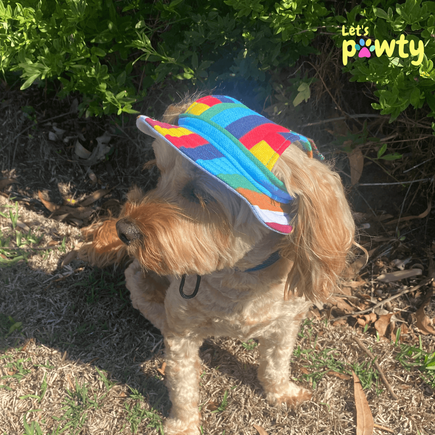 sun hat let's pawty, full brim, Mardi Gras, pride