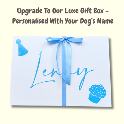 it's my birthday dog gift box, let's pawty