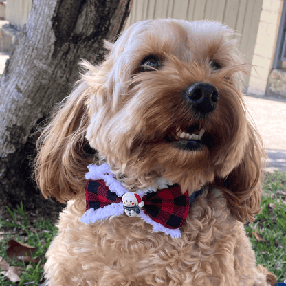 Buffalo red plaid over the collar dog bow, let's pawty 