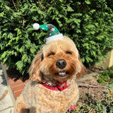 Christmas Santa dog hat red/green plaid 