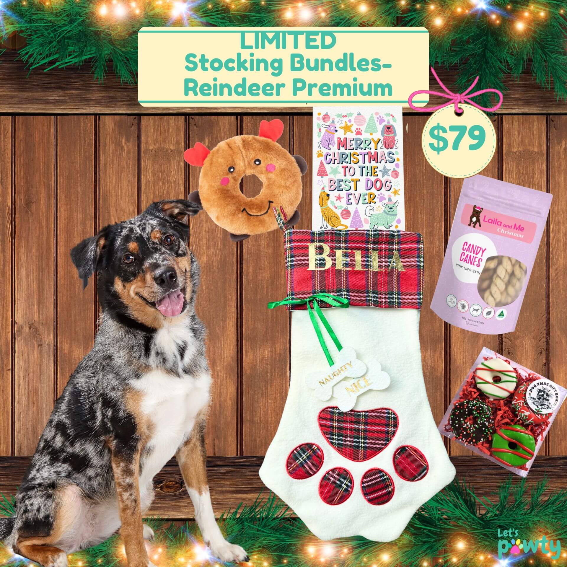 Reindeer premium personalised paw stocking bundle, let's pawty 