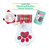 Limited Santa Surprise Stocking Bundle