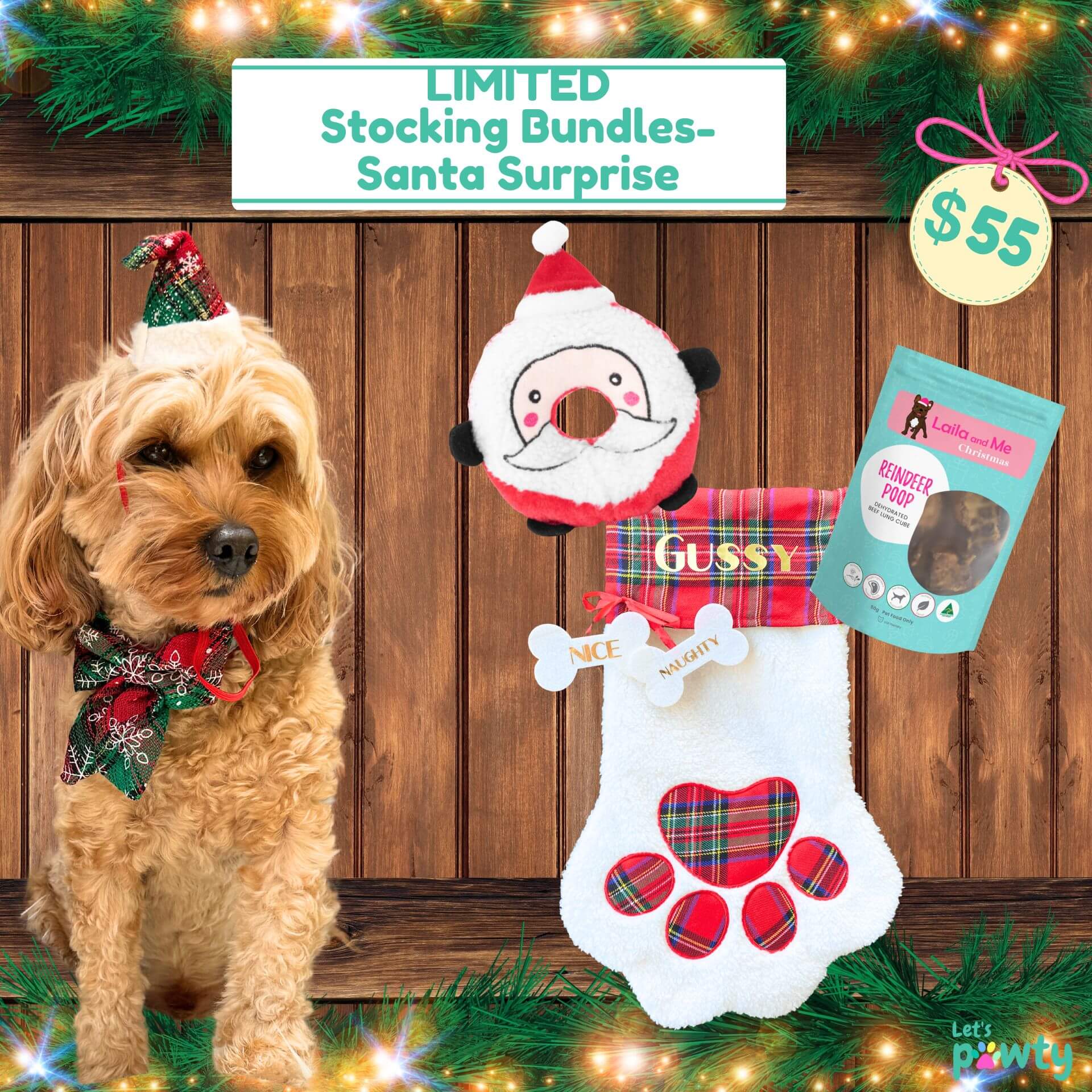 Limited Santa Surprise Stocking Bundle