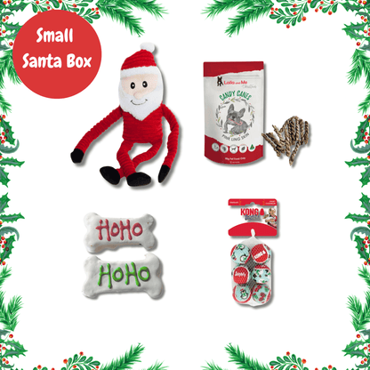 small Santa personalised dog gift box let's pawty