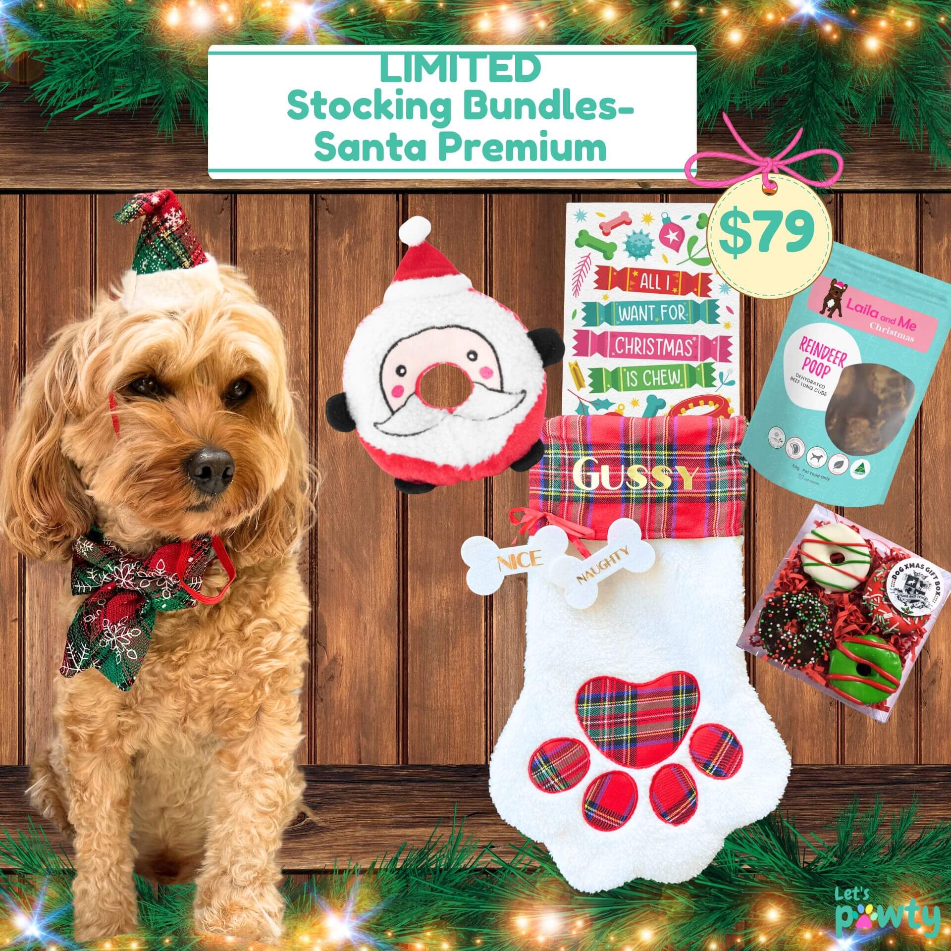 Santa premium Christmas bundle with stocking, reindeer poop, dog cookie and edible card