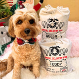 Personalised santa sack for your dog, let's pawty 