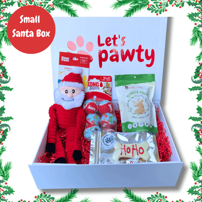 small Santa personalised dog gift box let's pawty 