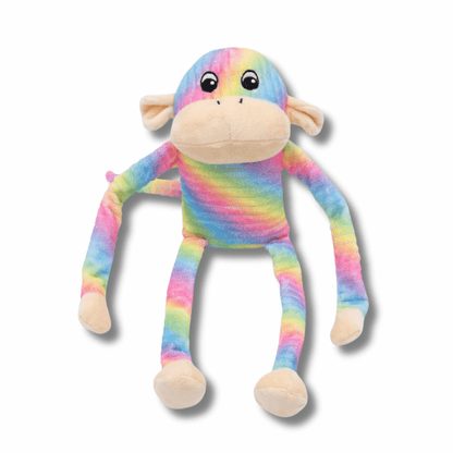 Spencer the crinkle monkey rainbow edition dog toy