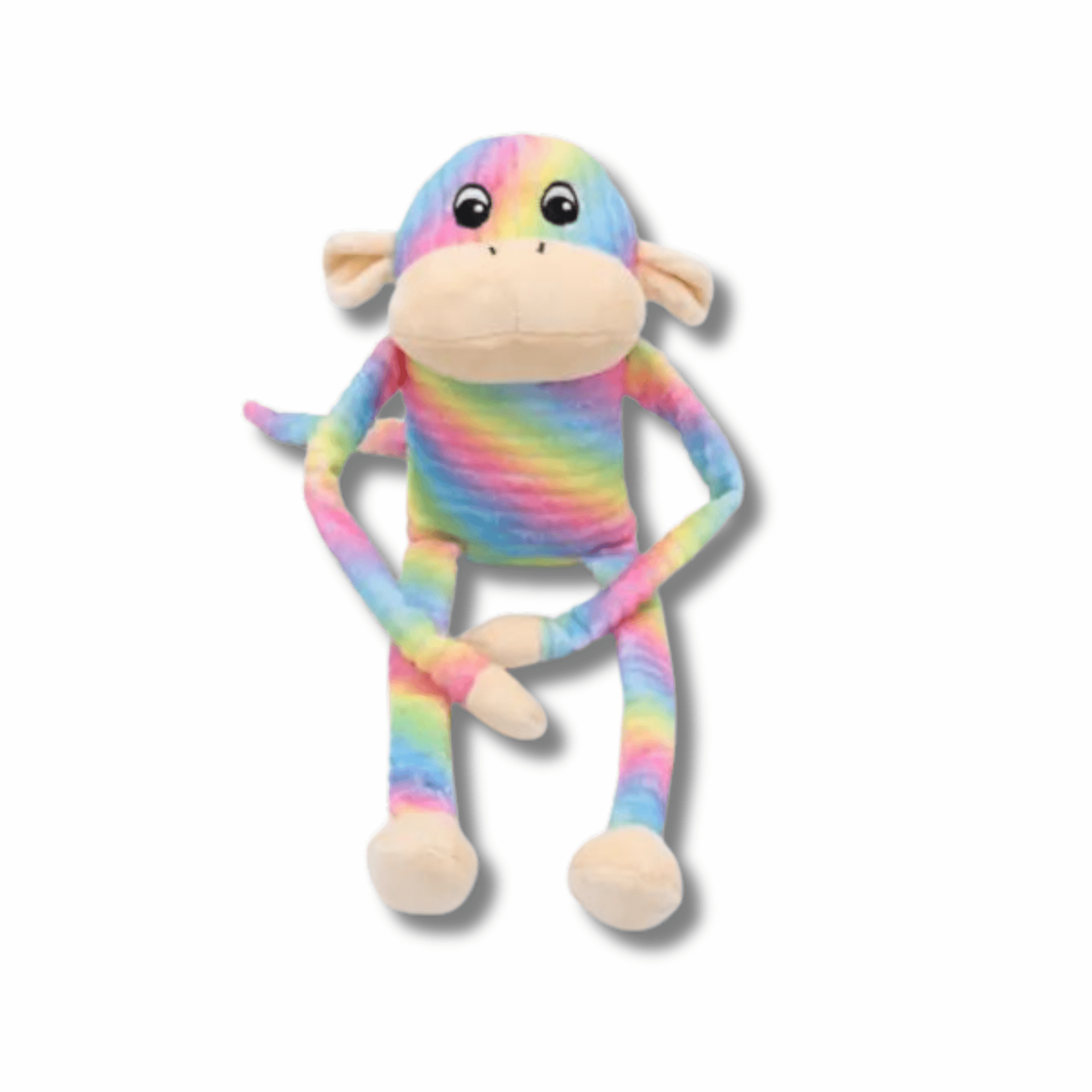 Spencer the crinkle monkey rainbow edition dog toy