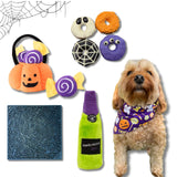 Trick Or Treat Halloween Burrow Personalised Dog Gift Box