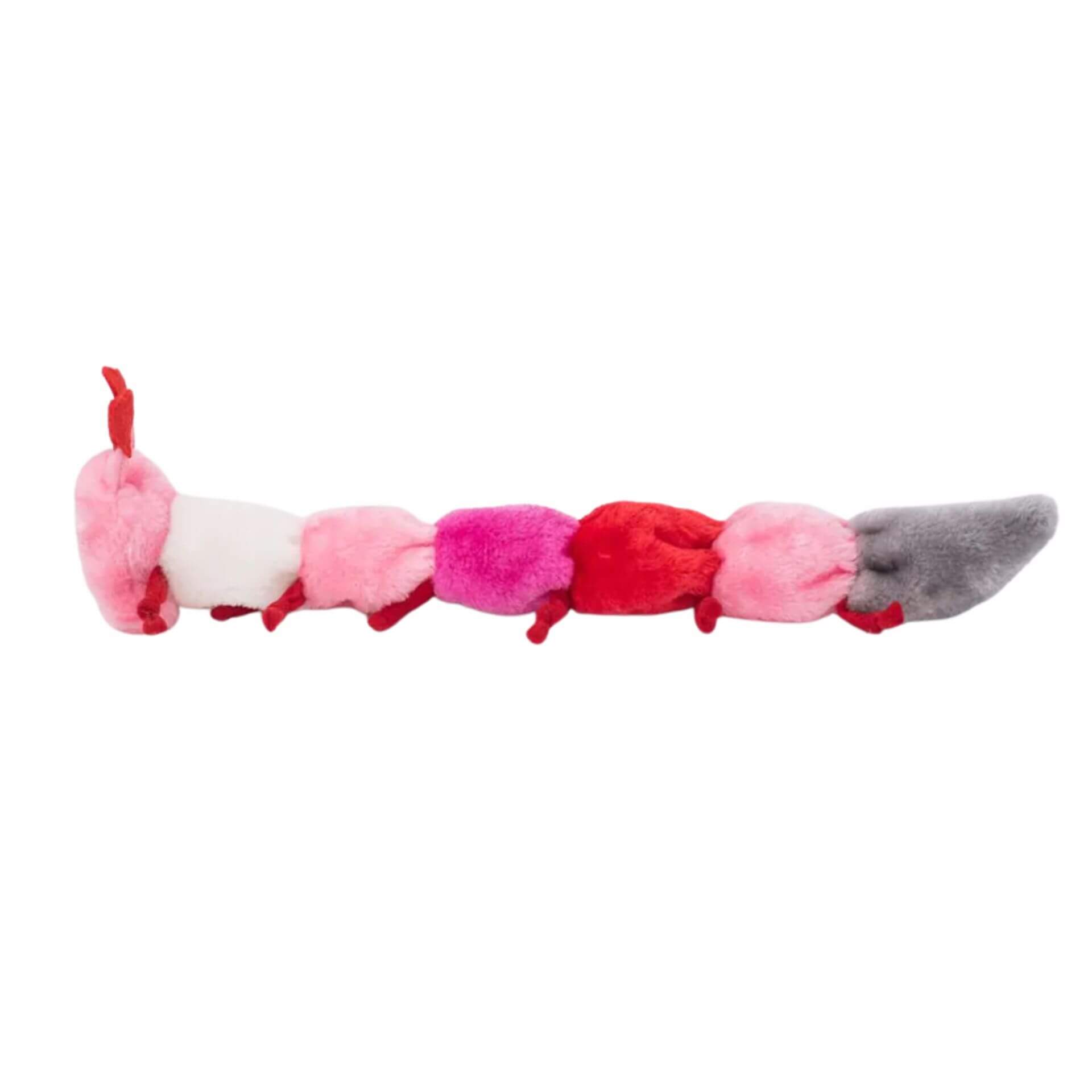 Valentine dog toy caterpillar