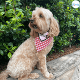 Love valentine themed dog bandana, let's pawty 