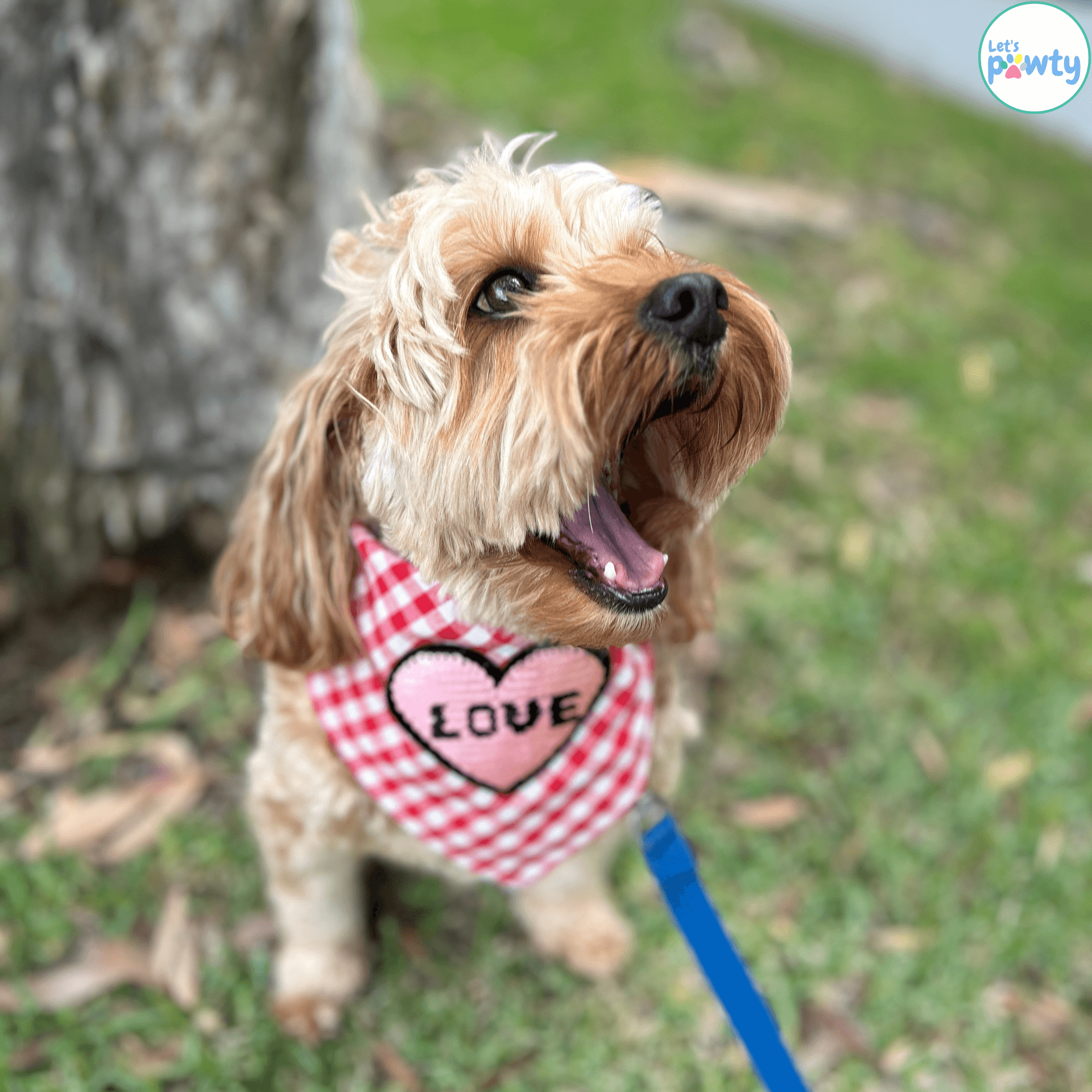 Love valentine themed dog bandana, let's pawty 