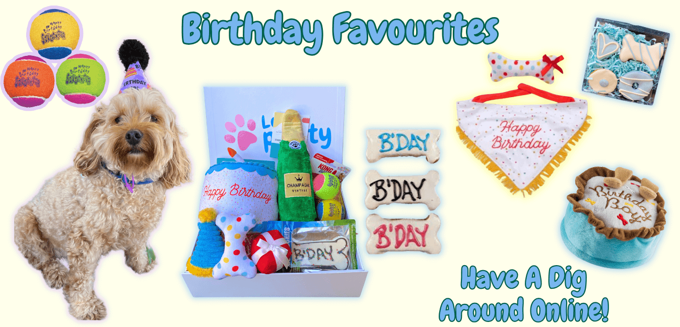https://letspawty.au/cdn/shop/files/birthday-dog-favourites-dog-toys-dog-treats-personalised-gift-box-2.png?v=1703375588&width=3840