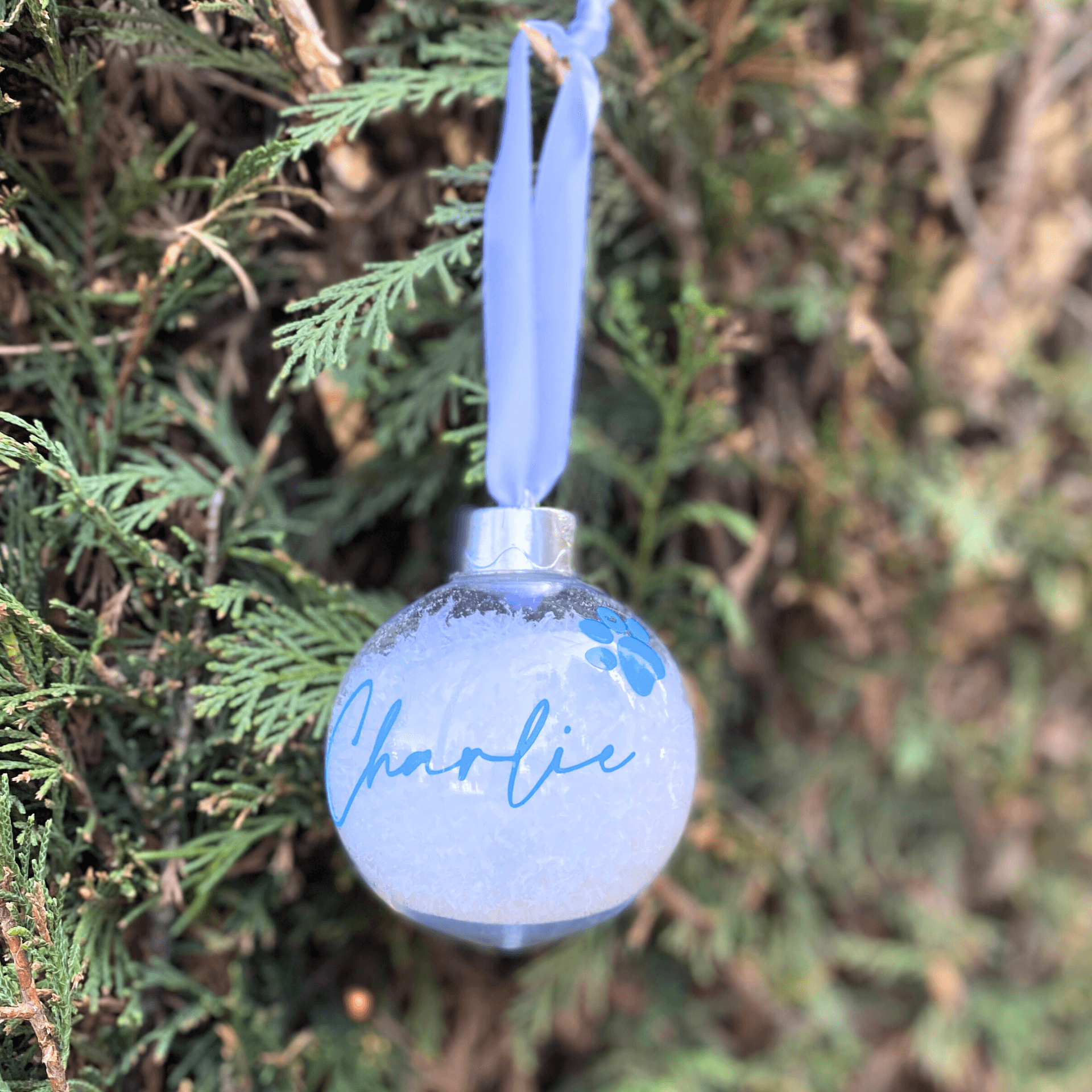 Christmas bauble personalised with your pet's name Let's Pawty