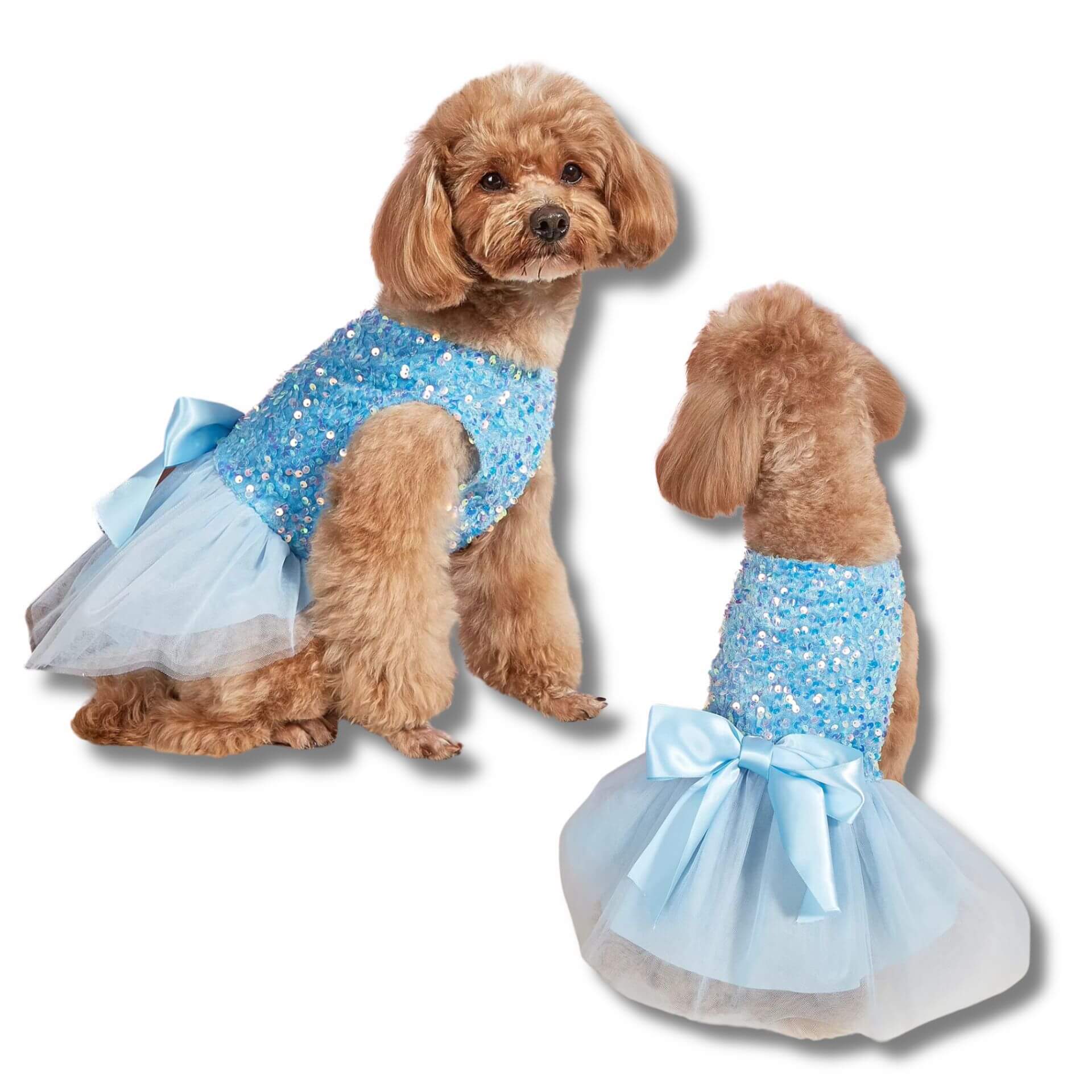 blue dog dress with sequins let's pawty