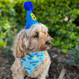 dog party hat blue glitter let's pawty