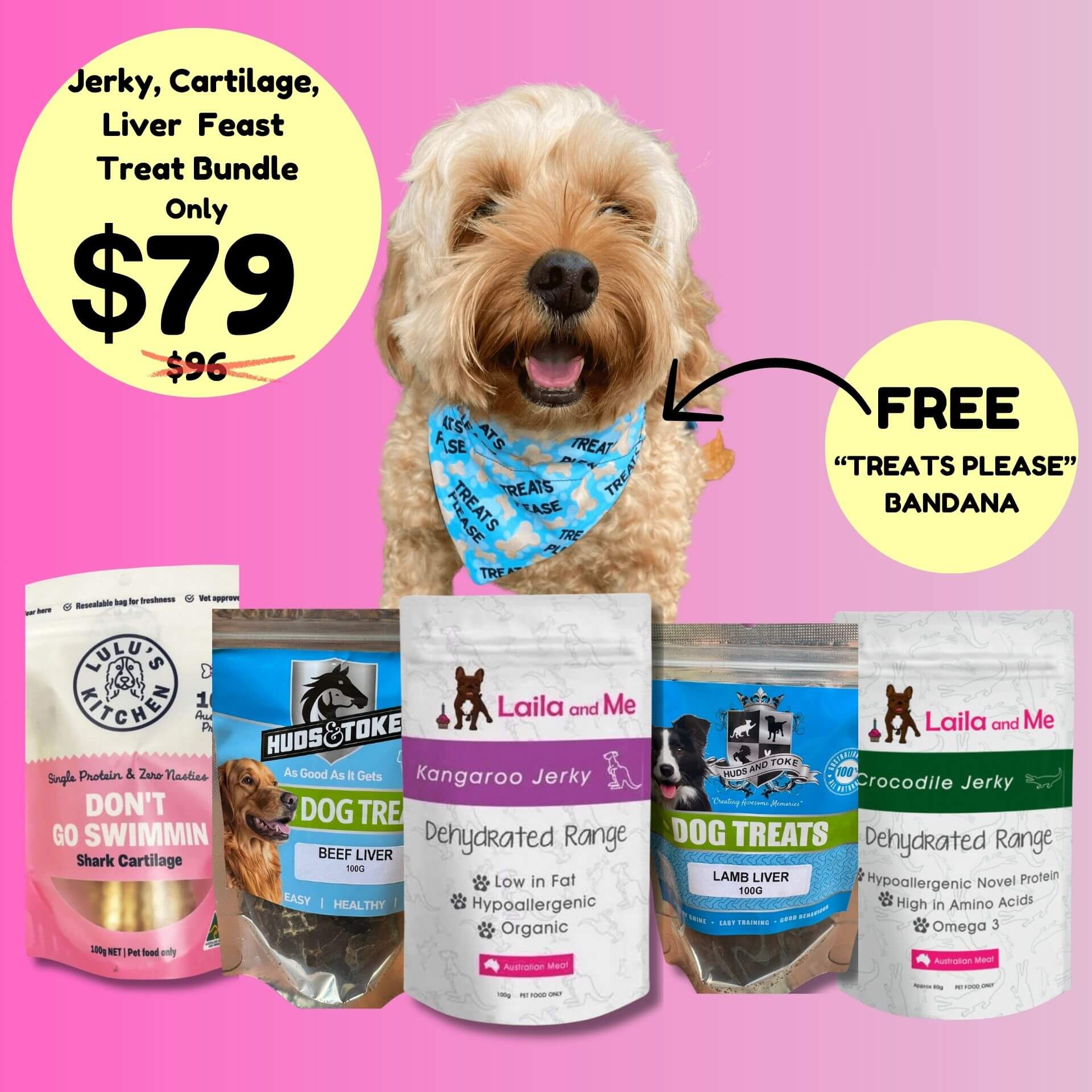 Dog treat bundle, let's pawty