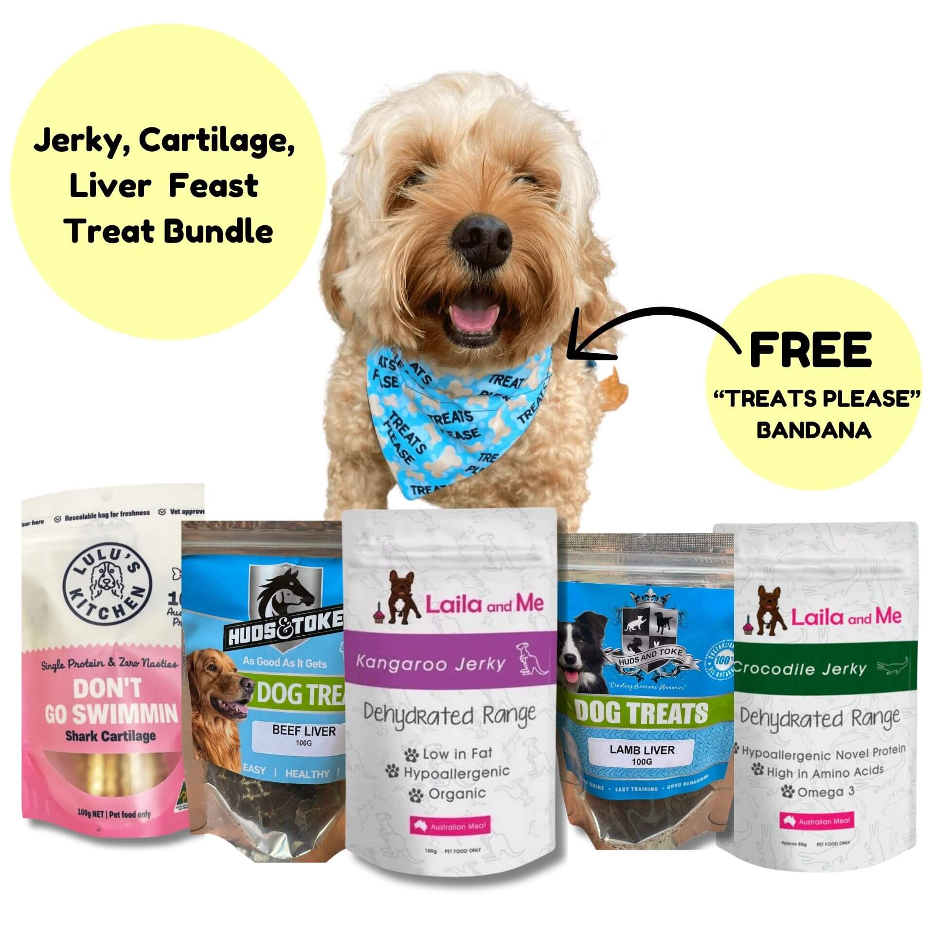 Dog treat bundle, let's pawty