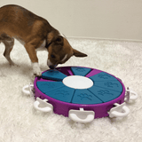 interactive dog toy for your fur babies Let's Pawty Sydney