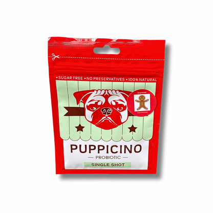Gingerbread puppicino healthy drink, let's pawty