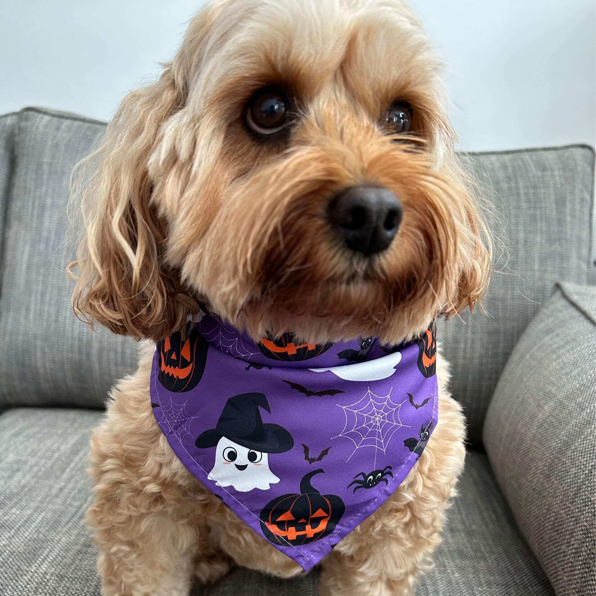 Halloween themed tie up dog bandana, purple with ghost and jack o lantern