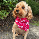 love you dog bandana let's pawty 