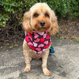 Valentine themed dog accessory bandana, let's pawty