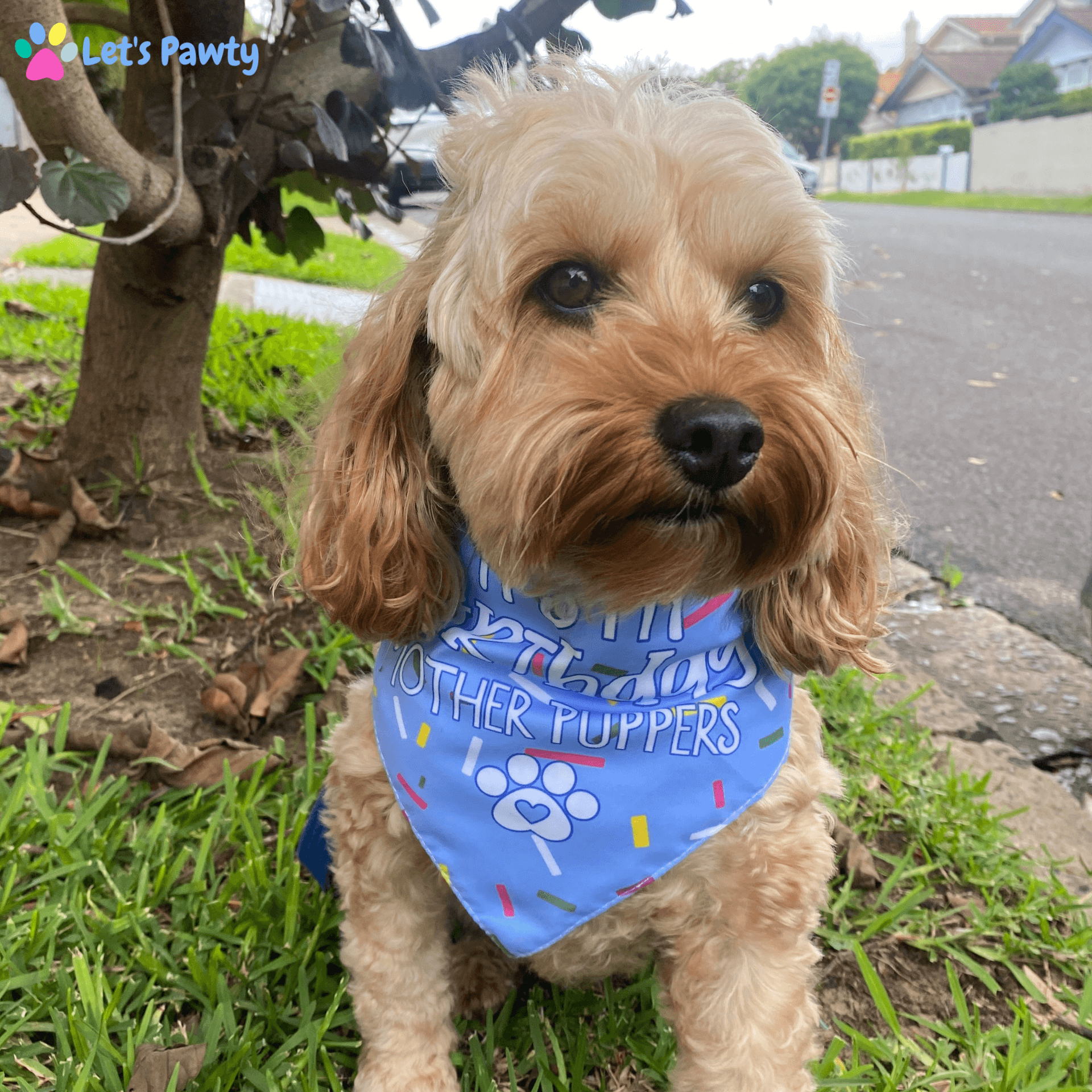 It's my birthday mother puppets, reversible dog bandana, tie up let's pawty