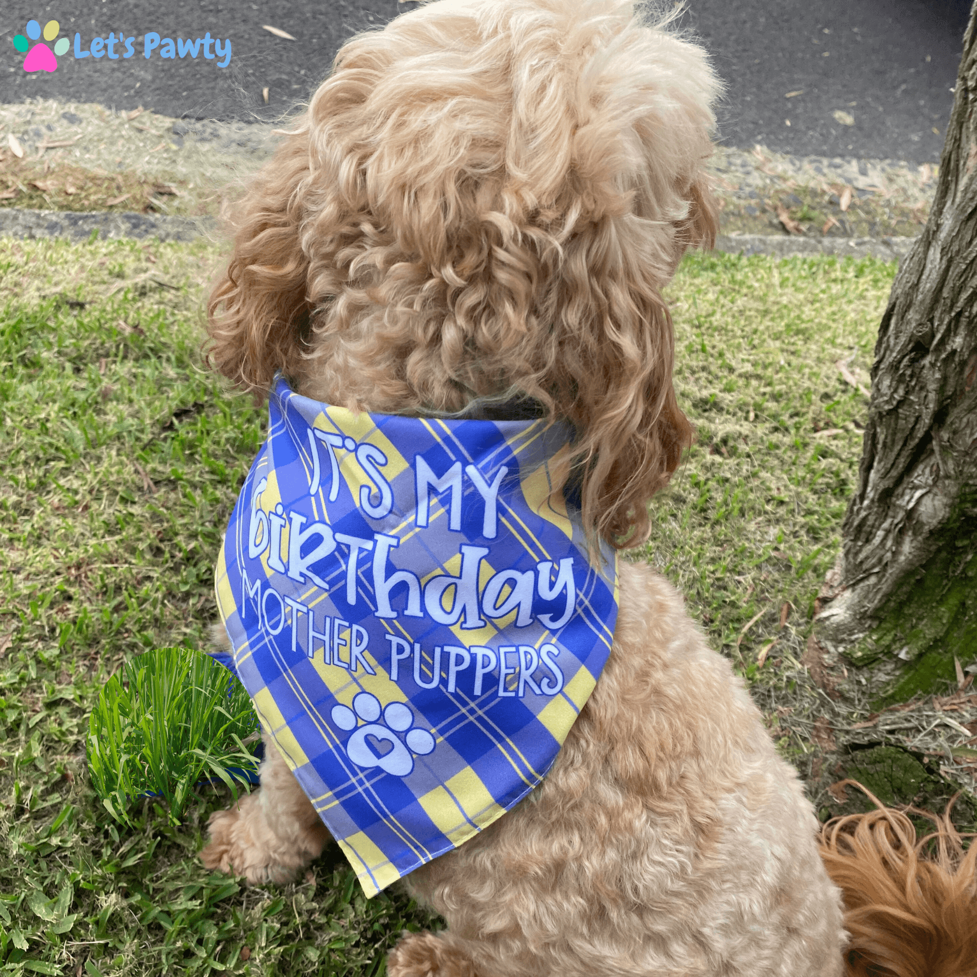 It's my birthday mother puppets, reversible dog bandana, tie up let's pawty