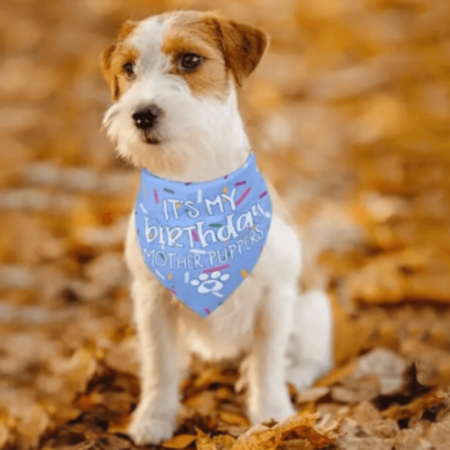 It's my birthday mother puppets, reversible dog bandana, tie up let's pawtyIt's my birthday mother puppets, reversible dog bandana, tie up let's pawty