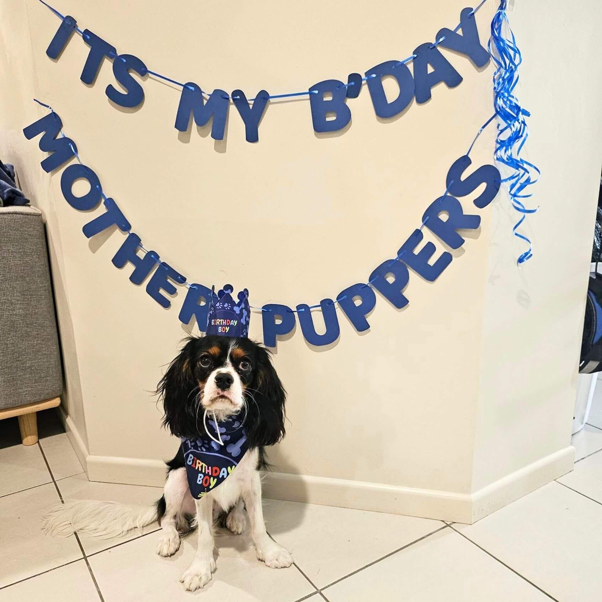 it's my birthday motherpuppers dog party banner set