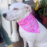 It's my birthday mother puppets, reversible dog bandana, tie up let's pawty