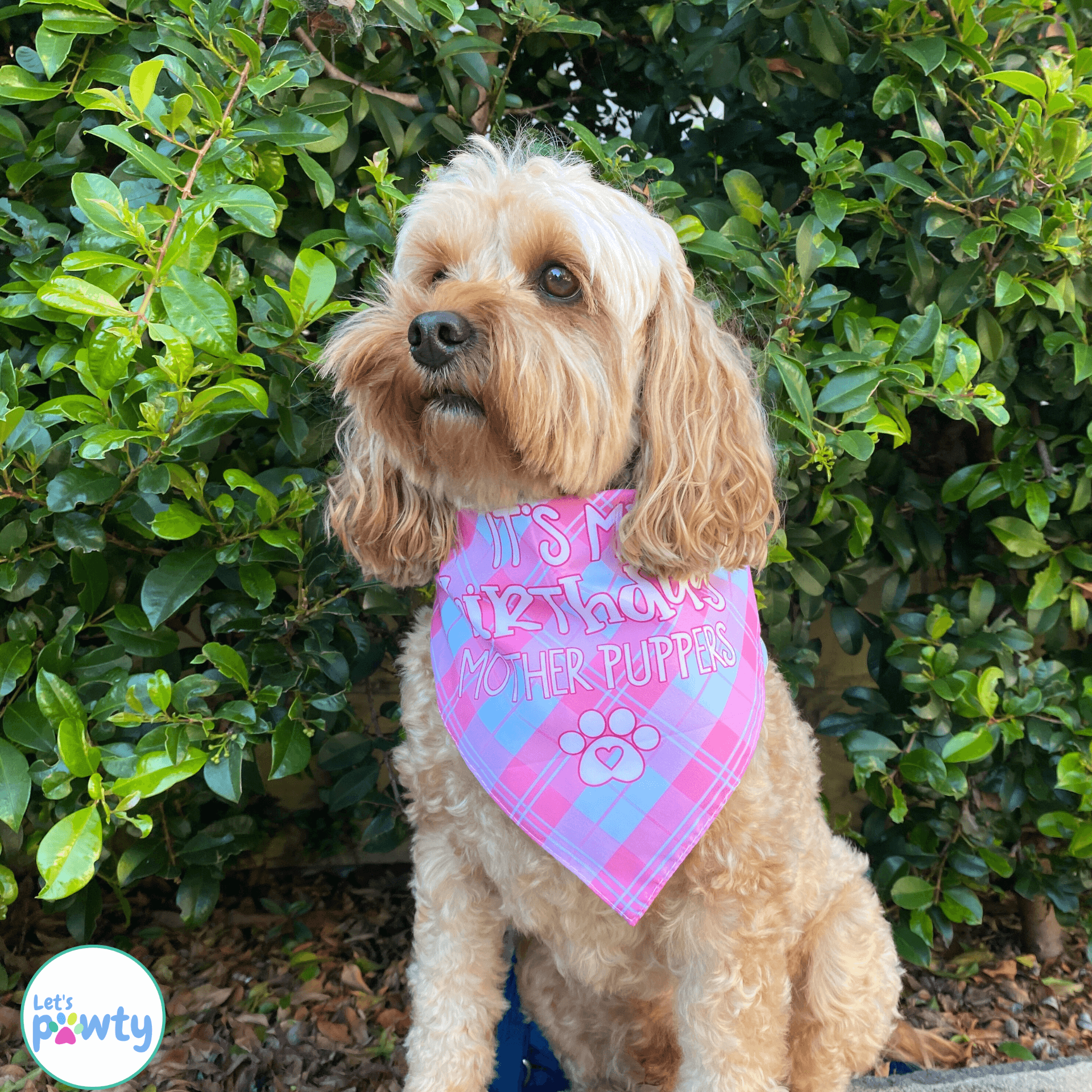 It's my birthday mother puppets, reversible dog bandana, tie up let's pawty