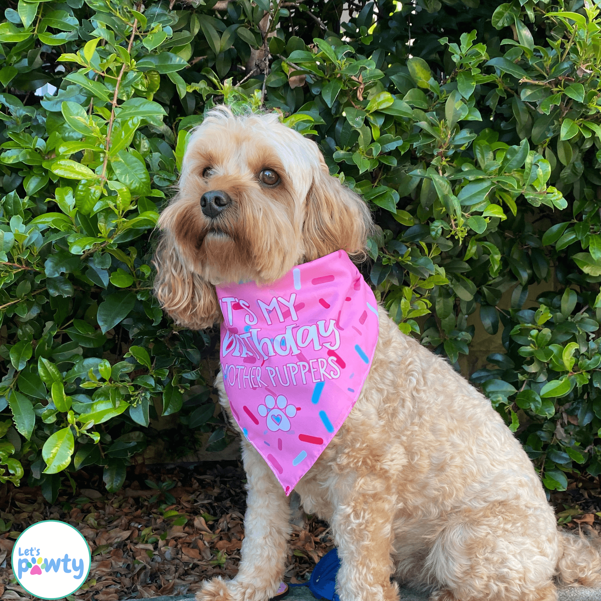 It's my birthday mother puppers, reversible dog bandana, tie up let's pawty