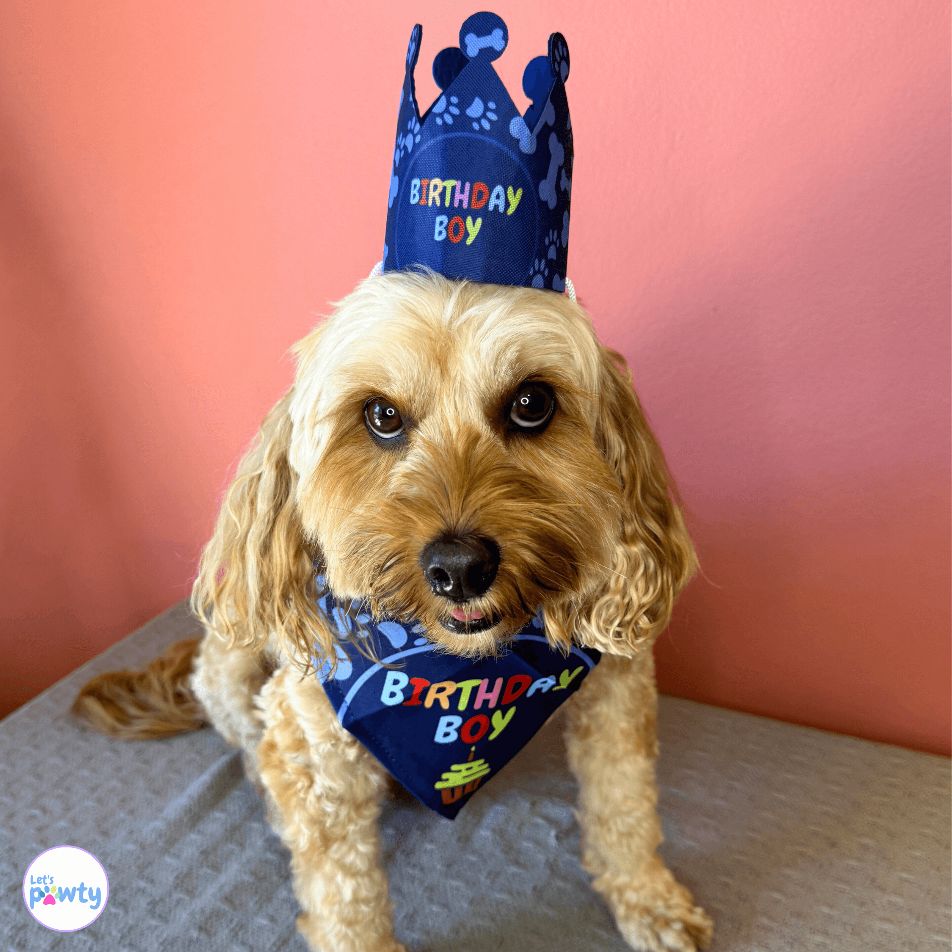 it's my birthday motherpuppers dog party banner set