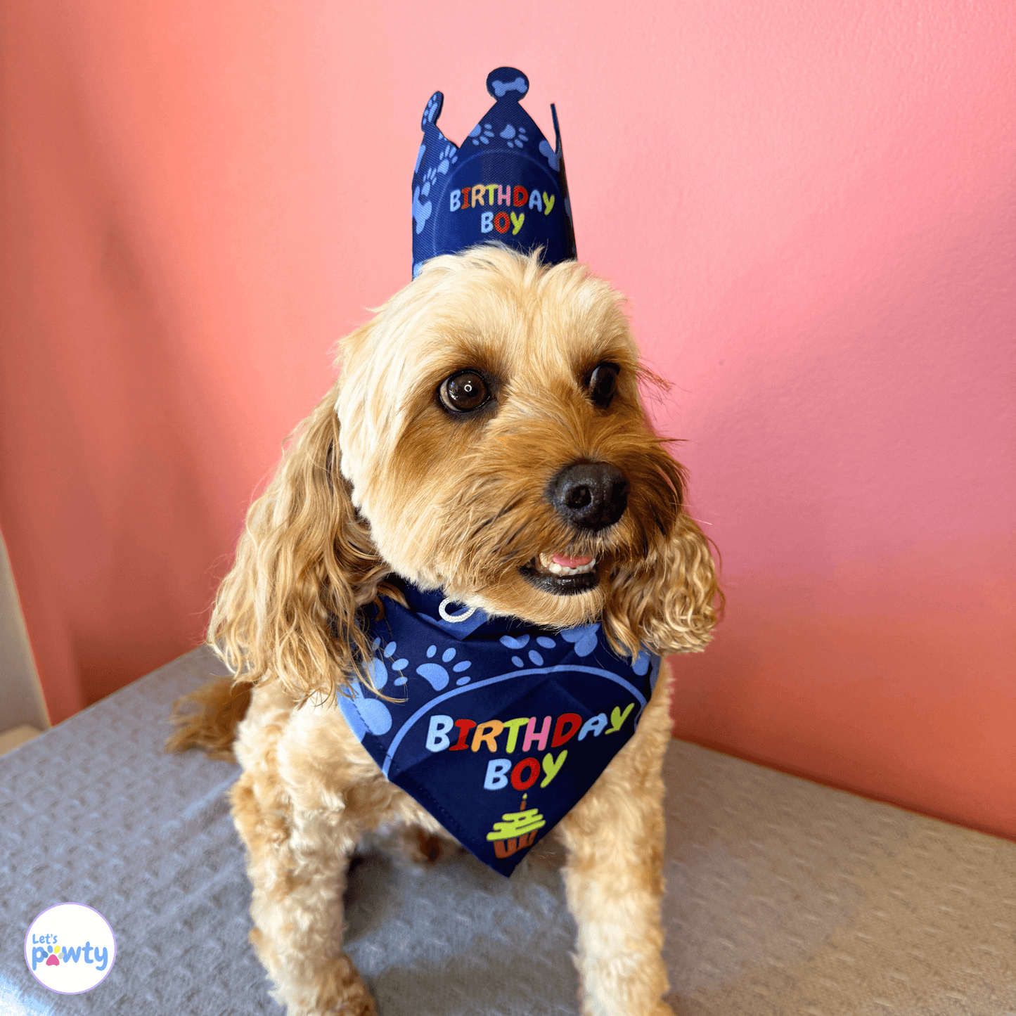 it's my birthday motherpuppers dog party banner set