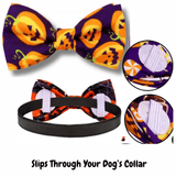 Jack-o'-Lantern Halloween Dog Bow