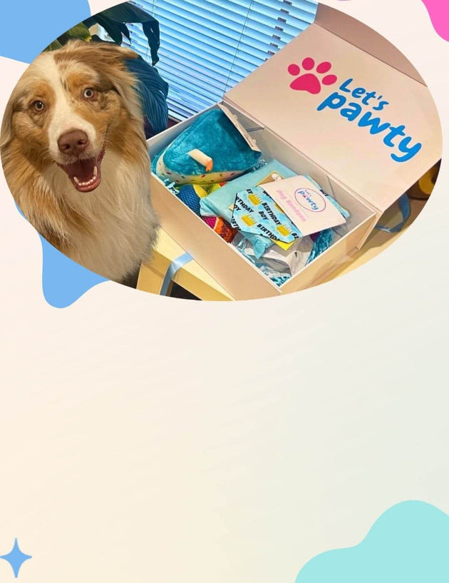 let's pawty dog toys, treats and accessories