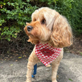 Red gingham hot lips dog bandana let's pawty