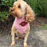 pet bandana lips valentine themed dog